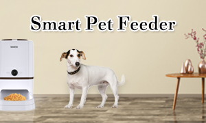 Iseebiz Pet Feeder User Guidance