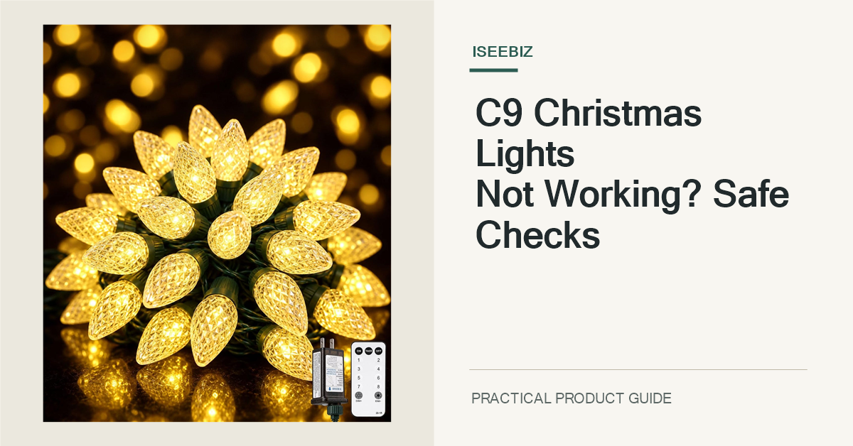 Exact ISEEBIZ 81-foot 100-LED C9 string-light strand and remote shown on a neat, unplugged work surface