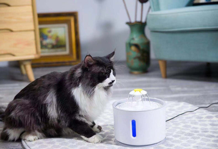 ISEEBIZ 2.4L Ultra-Quiet Pet Water Fountain